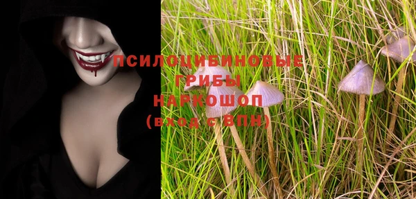 гидра Белоозёрский