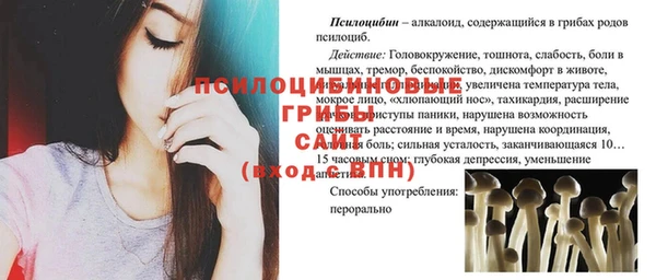 таблы Богородск