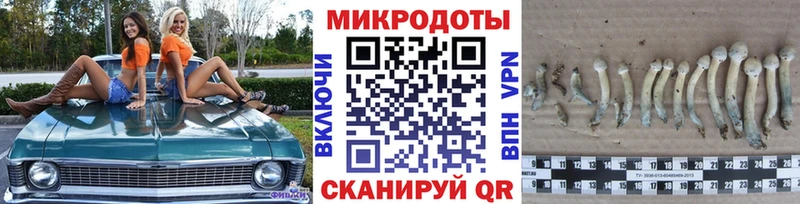 Галлюциногенные грибы Magic Shrooms  магазин продажи   Козловка 